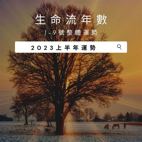 生命数字流年2023|V生命靈數／ 2023上半年【整體運勢】分析&生命流年。